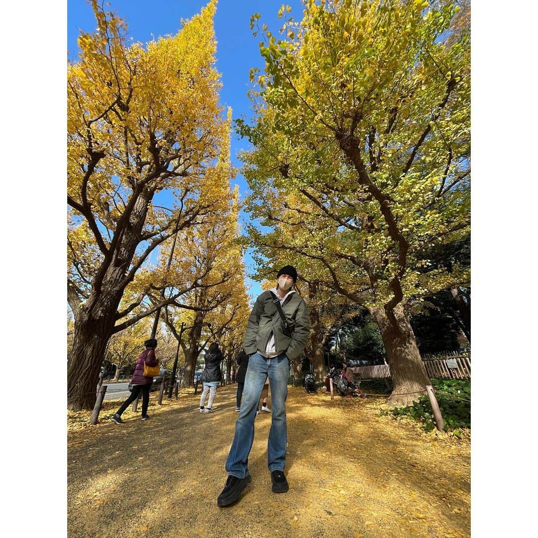 吉川大貴のインスタグラム：「気づけば12月。 2020年も残すところあと、1ヶ月。  #外苑前いちょう並木」