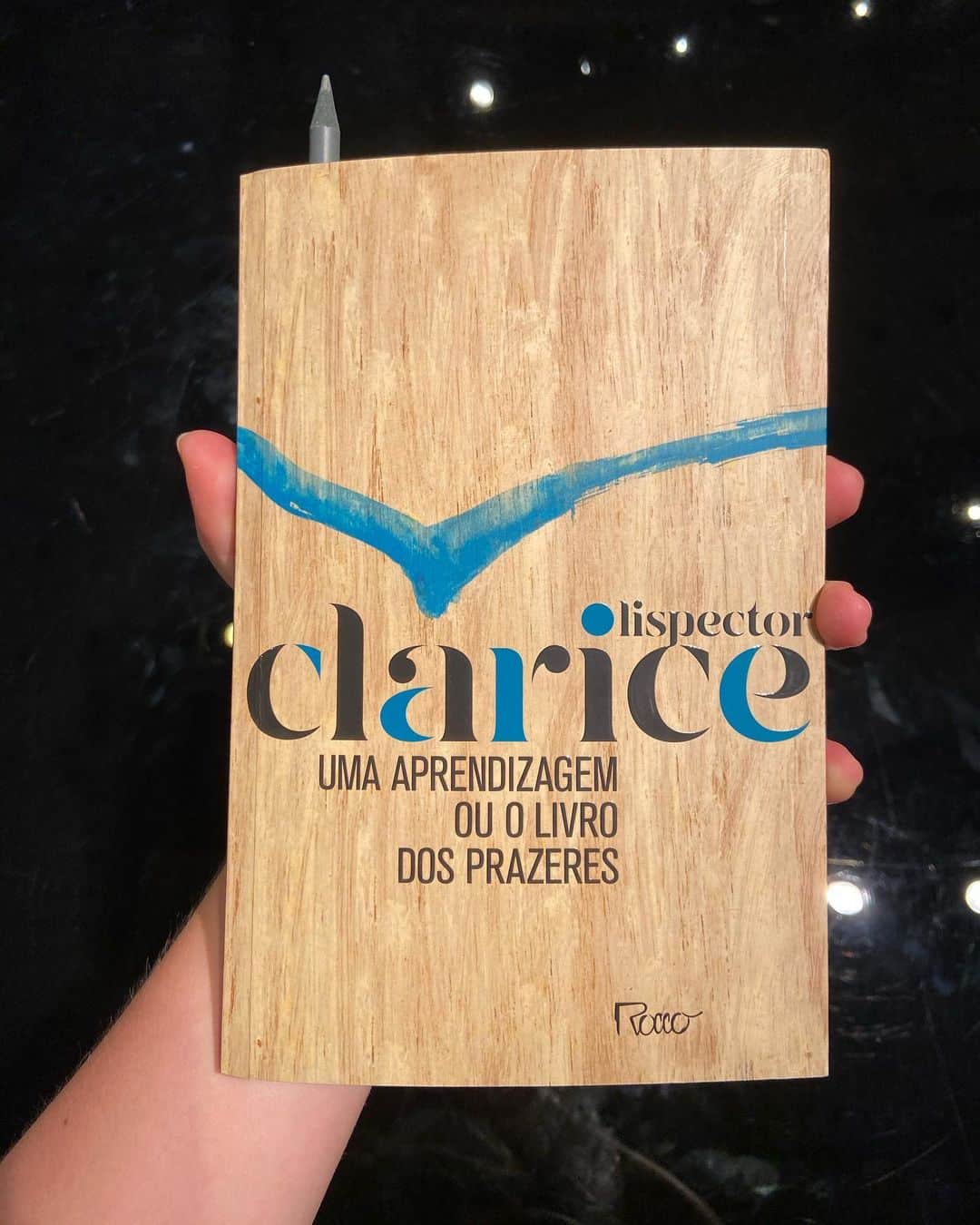 Alice Wegmannのインスタグラム：「não lembro muito bem o que havia antes disso, mas, bem, acho mesmo que nasci de novo.」