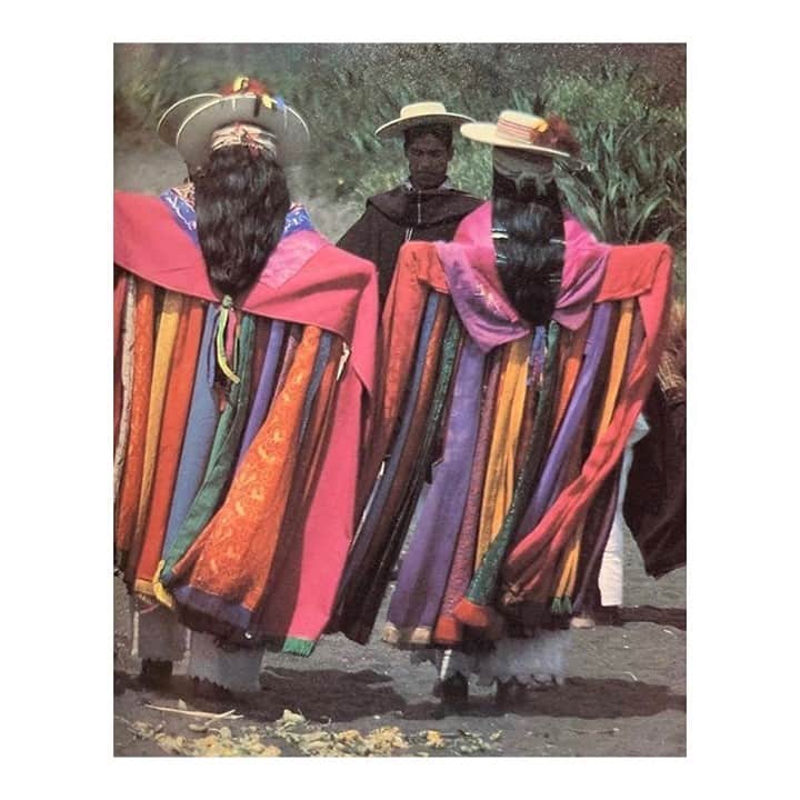 マッタのインスタグラム：「The colors, style and textiles of Mexico ♥️⁠ Found image.」