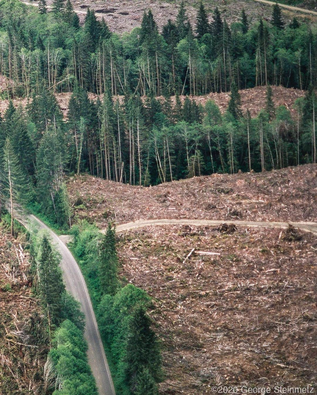 ナショナルジオグラフィックさんのインスタグラム写真 - (ナショナルジオグラフィックInstagram)「Photo by George Steinmetz @geosteinmetz / In Washington State, rural roads are lined by thin screens of uncut trees to hide scars where industrial forestry has clear-cut the landscape. The impacts of clear-cutting and replanting on local biodiversity and streams have long been clear. But the impact of such mass deforestation on climate has been debated for many years. Some forest and climate scientists side with industry, saying the replanting (typically three seedlings for each tree cut) and regrowth over time make such practices sustainable. As much, or more, climate-warming carbon dioxide ends up absorbed through photosynthesis as is lost. Indeed, both the European Union and the U.S. government have deemed wood biomass a “renewable” fuel in the context of climate. The issue, a host of other scientists and environmental organizations say, is the decades-long delay in tree regrowth and the lack of a guarantee that such lands will remain permanently forested. To view more of our world from above, follow @geosteinmetz.」12月2日 0時44分 - natgeo