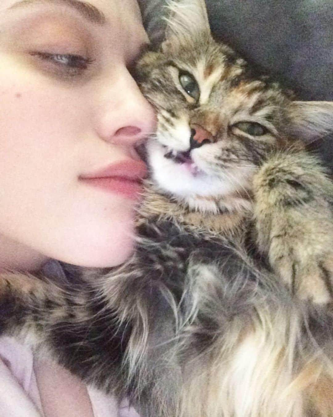カット・デニングスのインスタグラム