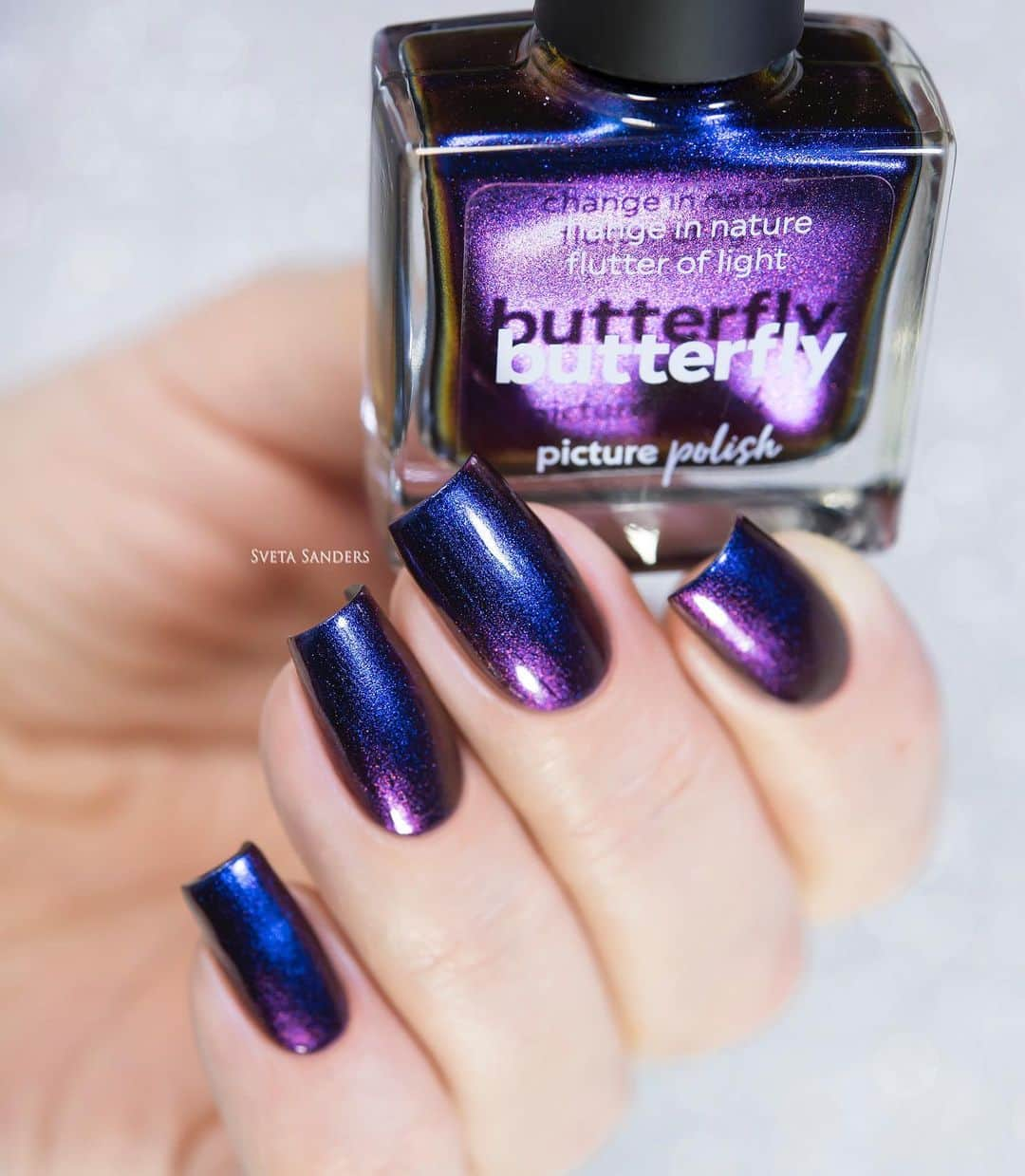 Sveta Sandersさんのインスタグラム写真 - (Sveta SandersInstagram)「#PicturePolish Butterfly @picturepolish」12月2日 0時53分 - sveta_sanders