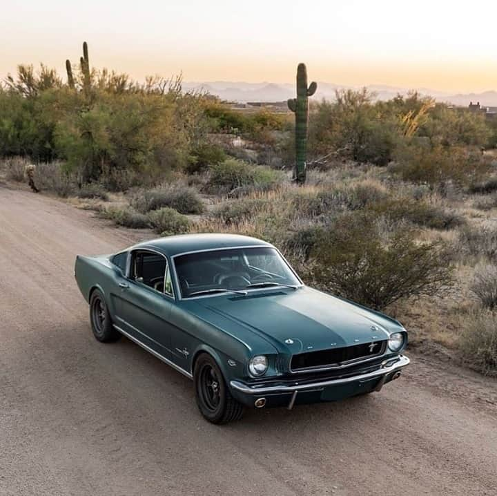 Classics Dailyさんのインスタグラム写真 - (Classics DailyInstagram)「#ClassicsFeature _____ 1965 Ford Mustang Fastback. 📷@the_simple_machine _____ #classiccar #musclecar #hotrod #protouring #prostreet #restomod #classicsdaily #streetrod #streetcar #customcar #hotrods #streetrods #ford #mustang #fordmustang #65mustang」12月2日 1時03分 - classicsdaily