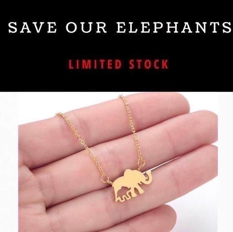 ピーター・ディンクレイジさんのインスタグラム写真 - (ピーター・ディンクレイジInstagram)「LET’S EXPOSE THE TRUTH BEHIND ELEPHANT POACHING! (LINK IN BIO FOR MORE INFORMATION @peterdinklage 🤏🤏🤏)  AN ESTIMATED 100 AFRICAN ELEPHANTS ARE BRUTALLY SLAUGHTERED EACH DAY BY POACHERS SEEKING IVORY, MEAT AND BODY PARTS, LEAVING ONLY 40,000 REMAINING..  Elephant numbers have DROPPED  by 62% over the last decade, and they could be mostly extinct by the end of the next decade 👉  LINK IN BIO first more info! @peterdinklage 👈  The demand for ivory in the Far East is the primary driver of the savage killing of elephants.  We need all your help to save our elephants and prevent them from going extinct..  For each save our elephants necklace sold we will be donating directly to Elephant charities in Africa.  THIS WILL GO TOWARDS: *  Securing a future for elephants and work to sustain the areas in which they live * Creating a sustainable future for elephants by supporting “conservation, education, research and management programs worldwide * Working with community members to help take care of the elephants  LINK IN BIO FOR MORE INFORMATION! @peterdinklage 🤏🤏🤏」12月2日 1時15分 - peterdinklage