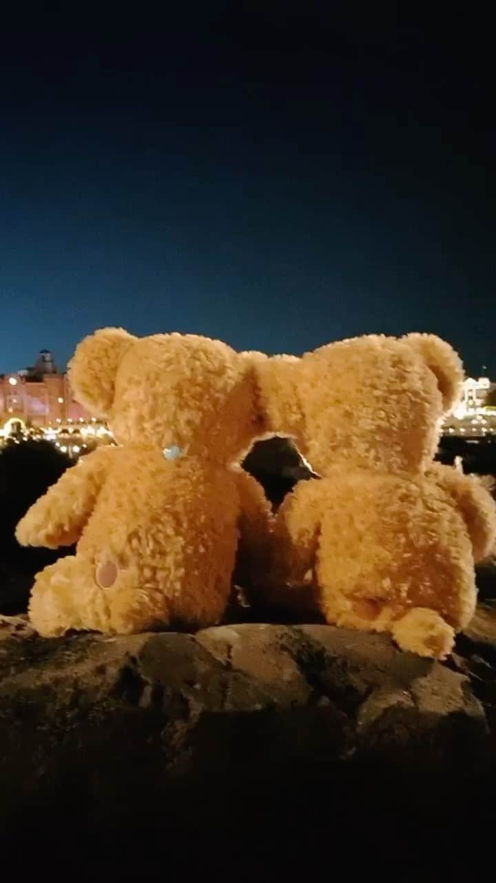 堀尾実咲のインスタグラム：「🤎🧸🤎  #ディズニー #ディズニーシー #東京ディズニーシー #TDS #ディズニーリゾート #東京ディズニーリゾート #ディズニークリスマス #ダッフィー #ダッフィーコーデ #disney #disneysea #tokyodisneysea #disney #disneysea #disney #disneysea #disneyresort」