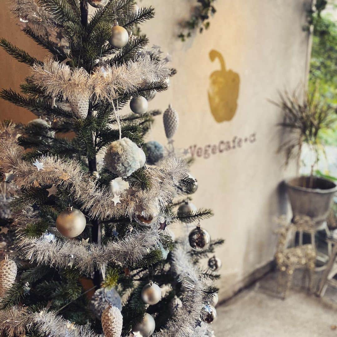 vegecafe＋αのグルメインスタ