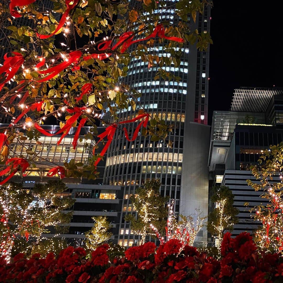 畑亜貴さんのインスタグラム写真 - (畑亜貴Instagram)「クリスマス仕様が華やかなビルは松本零士先生の漫画の出てきそうな名前だなと思いました…おはようございます🌞」12月2日 11時35分 - akihata.jp
