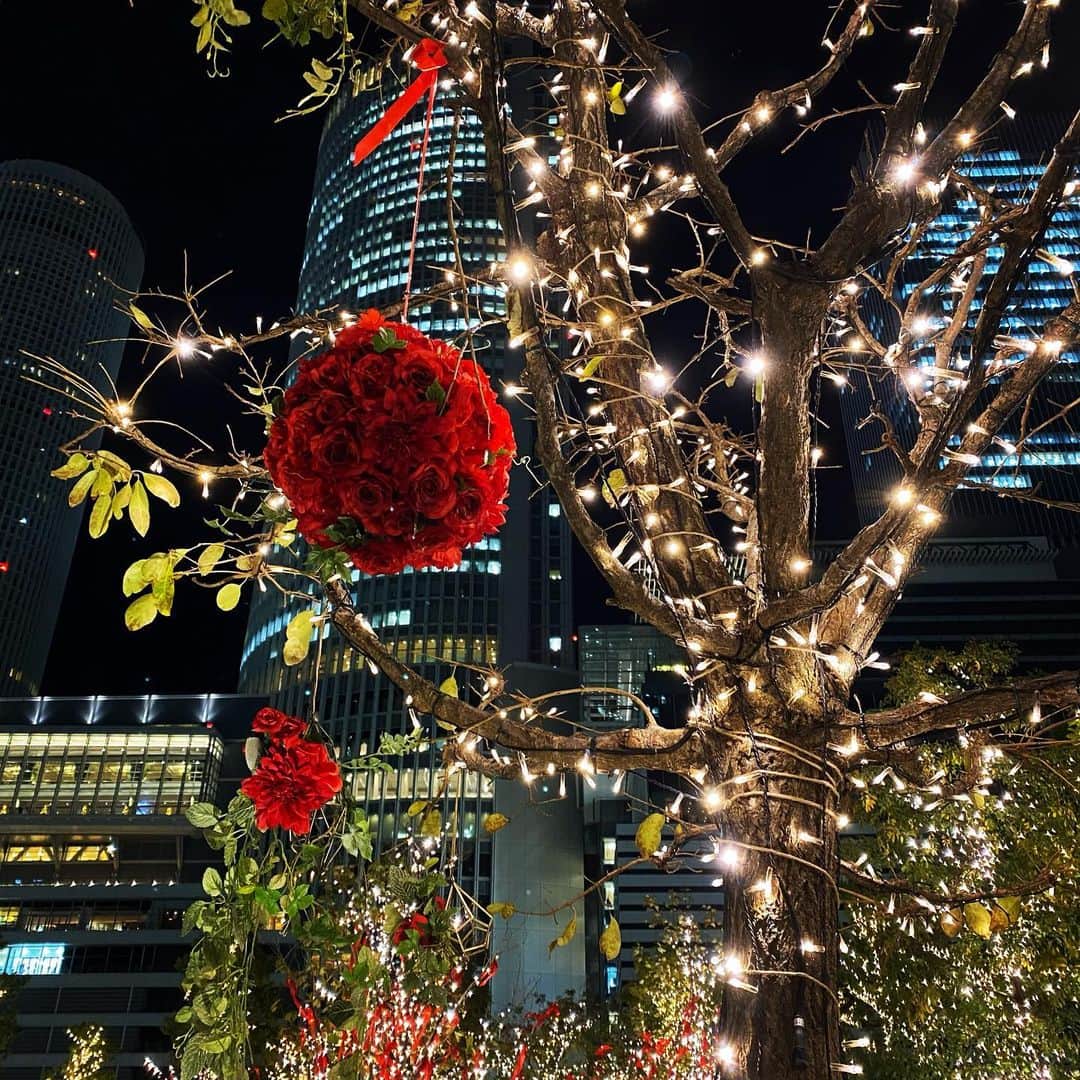 畑亜貴さんのインスタグラム写真 - (畑亜貴Instagram)「クリスマス仕様が華やかなビルは松本零士先生の漫画の出てきそうな名前だなと思いました…おはようございます🌞」12月2日 11時35分 - akihata.jp