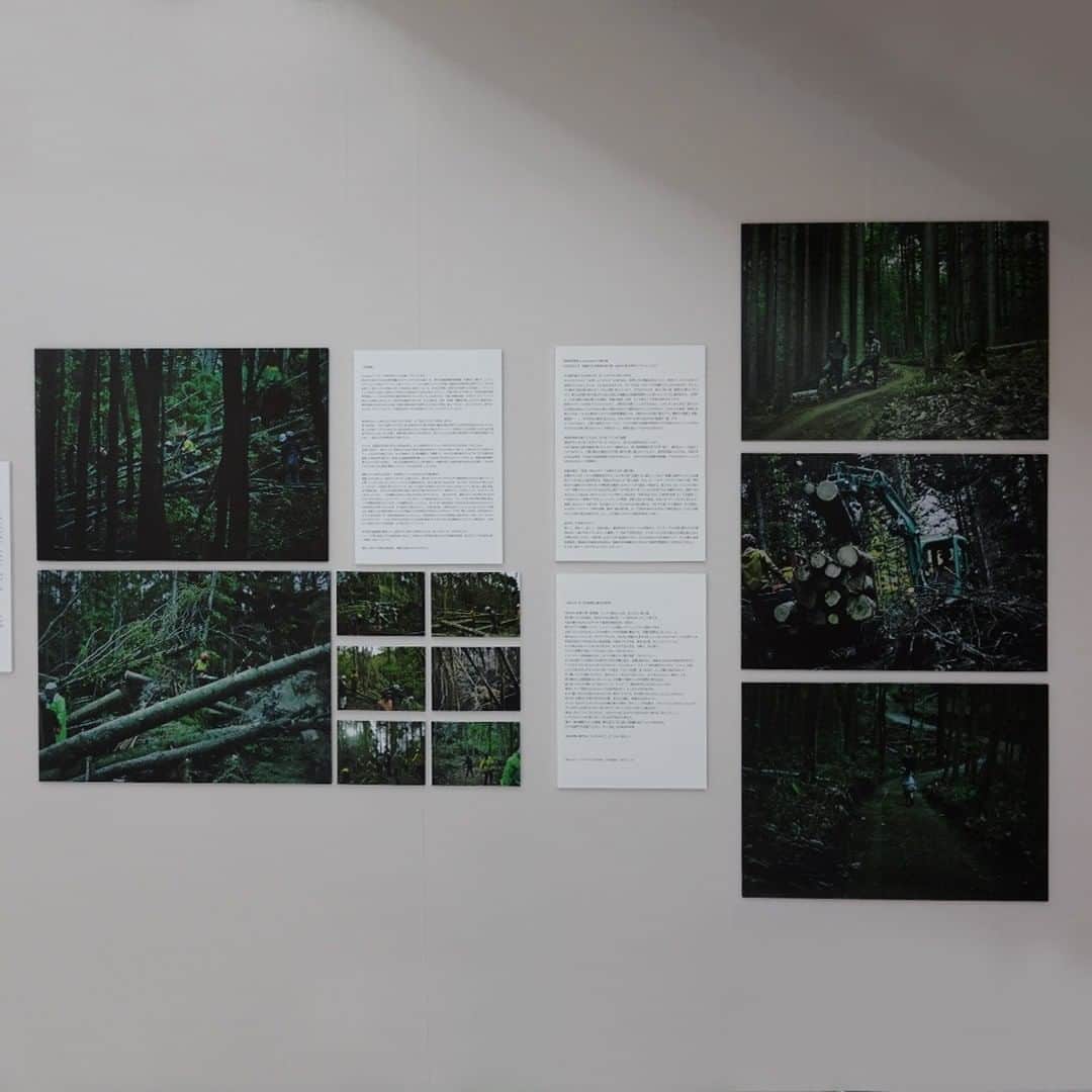 daimarusapporoさんのインスタグラム写真 - (daimarusapporoInstagram)「「きこりが街にやってくる」展 6階 グリーンパティオ  【札幌の木でつくるHOLIDAY】にご協力いただいたoutwoodsさんと前田麦さんの〈森の標本〉インスタレーション、outwoodsさんの山の活動の写真展や、彼らの森で活動するMTBチームの写真展示もしています。  〈森の標本〉では実際に山で使用している道具や植物標本、そしてマウンテンバイクなども展示していますのでぜひご覧ください♪  -------------------------  【札幌の木でつくるHOLIDAY】  HAPPY HOLIDAYS 2020 今年の大丸札幌店の"HOLIDAY"シーズンは、北海道の"森"や"木"をテーマに取り組みます。  札幌市清田区をベースに活動するフリーの"きこり"OUTWOODSさんのご協力や北海道ゆかりのアーティストの皆さま、大丸札幌店に来られるお客様、大丸札幌店ではたらく従業員の皆さまのご協力でつくりあげる"HOLIDAY"です。  -------------------------  ★みんなでつくる、ウッドオーナメント 1階 ビッグツリー  札幌の木で作られたウッドオーナメントにお客様にペイントしてもらい、集まったウッドオーナメントは12月2日(水)から1階特設会場(吹き抜け下)のビッグツリーで展示しています。  札幌市清田区をベースに活動するフリーの"きこり"outwoodsさんのご協力で実現いたしました。  ■展示場所：1階特設会場(吹き抜け下) ■期間：12月2日(水)→25日(金) ※12月2日(水)から8日(火)の期間、1階・4階・6階に投函BOX付ペイントカウンターを設置しております。 ※ウッドオーナメントがなくなり次第、予告なく終了いたします。  -------------------------  ★オーナメントペイントイベント 12月5日(土)・6日(日) 6階 グリーンパティオ  札幌の木で作られたウッドオーナメントに、ペイントしていただけるブースを設置いたします。 ウッドオーナメントにペイントしていただき、設置のBOXにご投函ください。  ■場所：6階グリーンパティオ ■開催日：12月5日(土)・6日(日) ※各日午前10時から午後8時 ※状況により、事前の予告なく中止する場合がございます。  #大丸札幌 #outwoods #アウトウッズ #北海道の木 #大丸ウッドホリデイ」12月2日 11時53分 - daimarusapporo