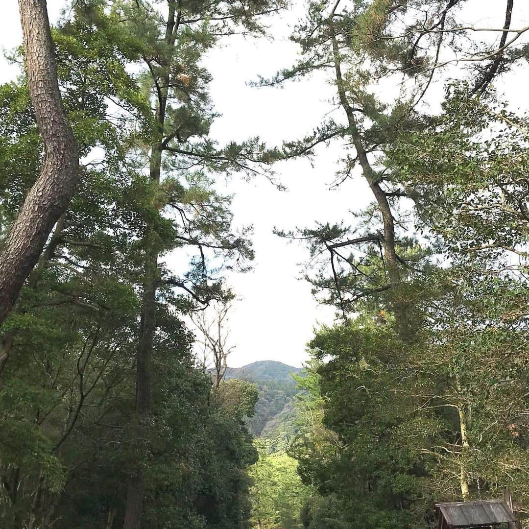 土屋眞弓さんのインスタグラム写真 - (土屋眞弓Instagram)「神在月 出雲大社にて正式参拝をさせて頂きました⛩🙏 八百万の神様がここ出雲にお集まりになるこの月にご縁を頂き参拝をさせて頂く素晴らしい機会を与えてくださった方々に、心から感謝致します 素敵な出逢いも沢山あり、大変有意義な時間でした✨✨✨  #出雲大社 #神在月」12月2日 12時31分 - mayumi.vivian