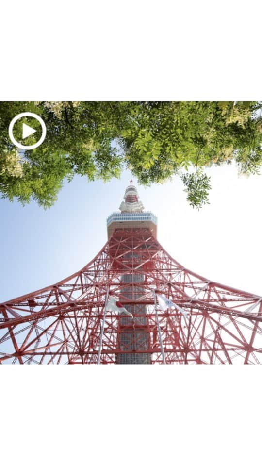 のインスタグラム：「+゜ 🗼 〜笑顔と感動に包まれた結婚式〜  この時期だからこそ... 言葉にできないモノがある🕊  コロナ禍の中延期をしようか悩み続けたおふたり🍀 今までお世話になった方へ “ありがとう” ただその一言を伝えたい🤵👰‍♀️ その想い一心で迎えたご結婚式 この時期だからこそ生まれるモノが そこにはありました😊✨  #theplaceoftokyo #プレイスオブトウキョウ #プレイスオブトーキョー #プレイスオブ東京 #ザプレイスオブトーキョー #ザプレイスオブ東京 #ザプレイスオブトーキョー #ゲストハウス婚 #令和2年婚 #東京タワー #東京タワーが好き #tokyotower #tokyowedding #東京タワーが見える #2020婚 #2020wedding #2020夏婚 #2020秋婚 #2020冬婚 #結婚式準備 #結婚式 #ちーむ2020 #東京花嫁 #プレ花嫁準備 #ぷれ花嫁 #プレ花嫁 #感謝 #大切な想い出 #特別な時間 #家族の絆」