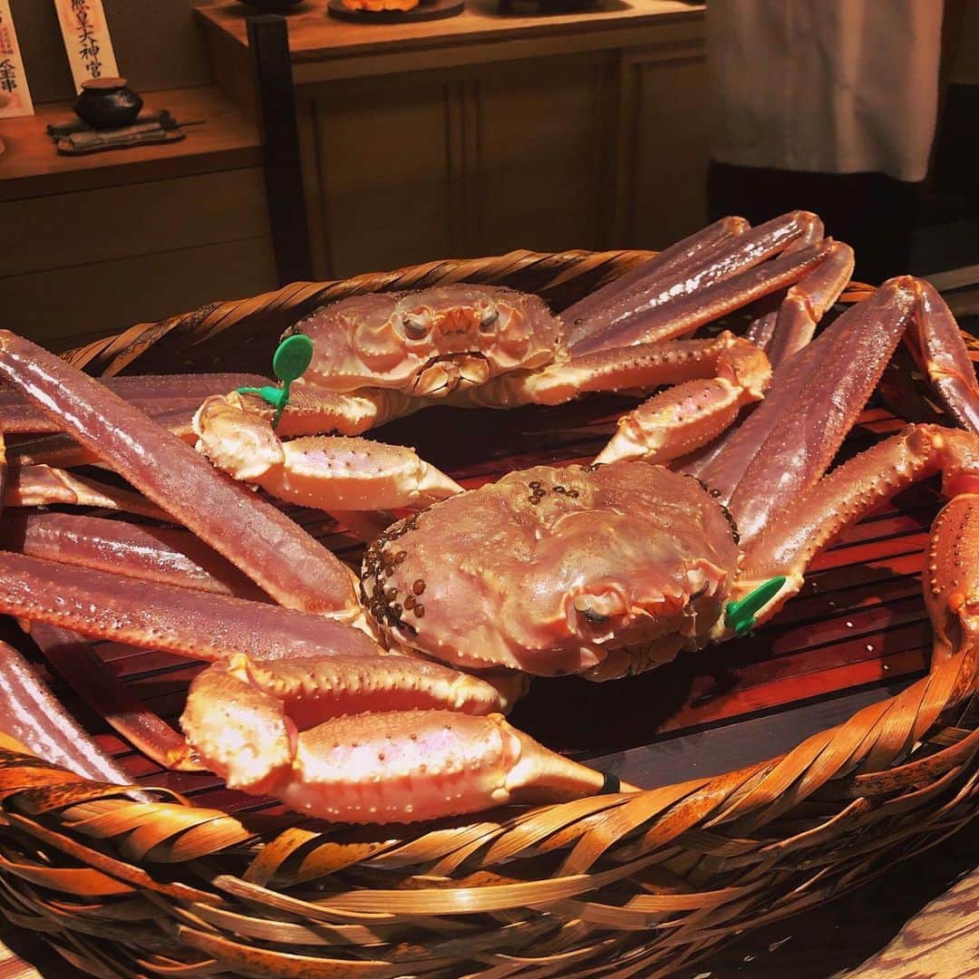 高橋リタのグルメインスタ