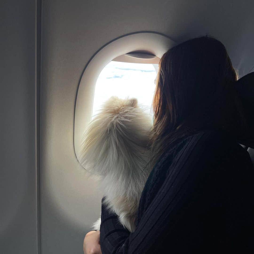 ヤネット・ガルシアのインスタグラム：「DECEMBER!! ✈️❤️」