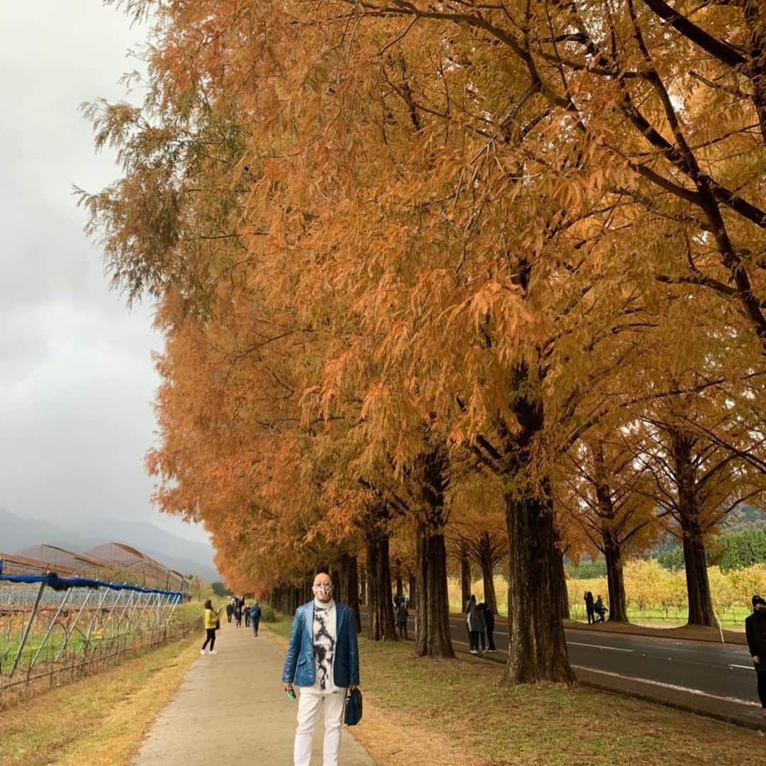 マグナム北斗さんのインスタグラム写真 - (マグナム北斗Instagram)「メタセコイヤ並木」12月2日 4時28分 - magnum0316