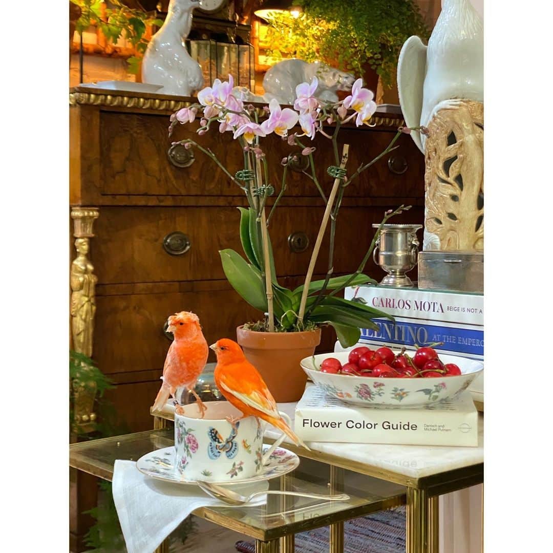 のインスタグラム：「Tea time with our new tableware collection with @OKA」
