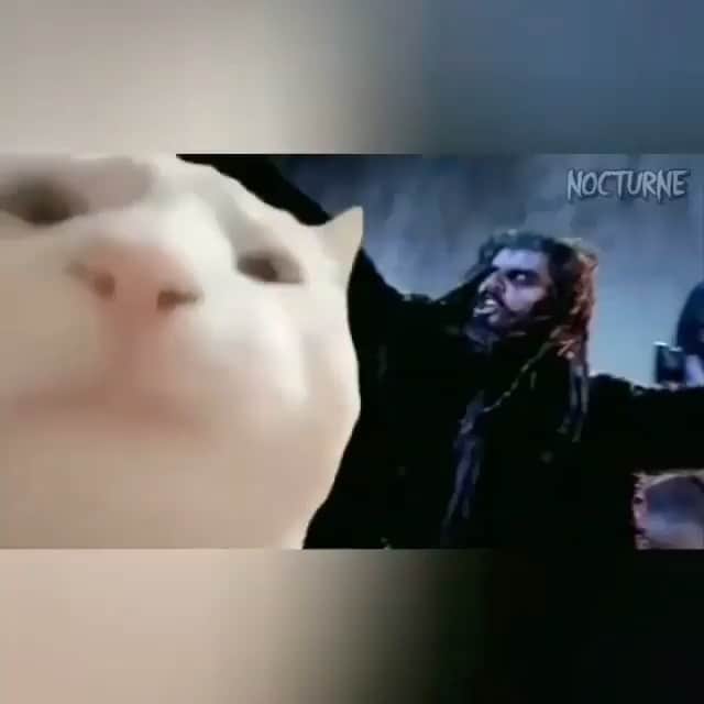 ロブ・ゾンビのインスタグラム：「Ridiculous. 👍🏼 #robzombie #dragula」