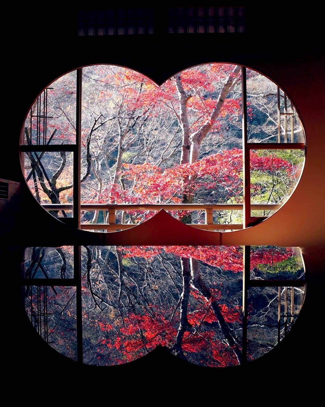 masayaさんのインスタグラム写真 - (masayaInstagram)「嵐山 祐斎亭  Yusaitei Arashiyama Kyoto 初めて訪れるところは、高揚感がより高まります。事前予約なので人の数は少なくゆったりと撮影を楽しめました。」12月2日 5時31分 - moonlightice