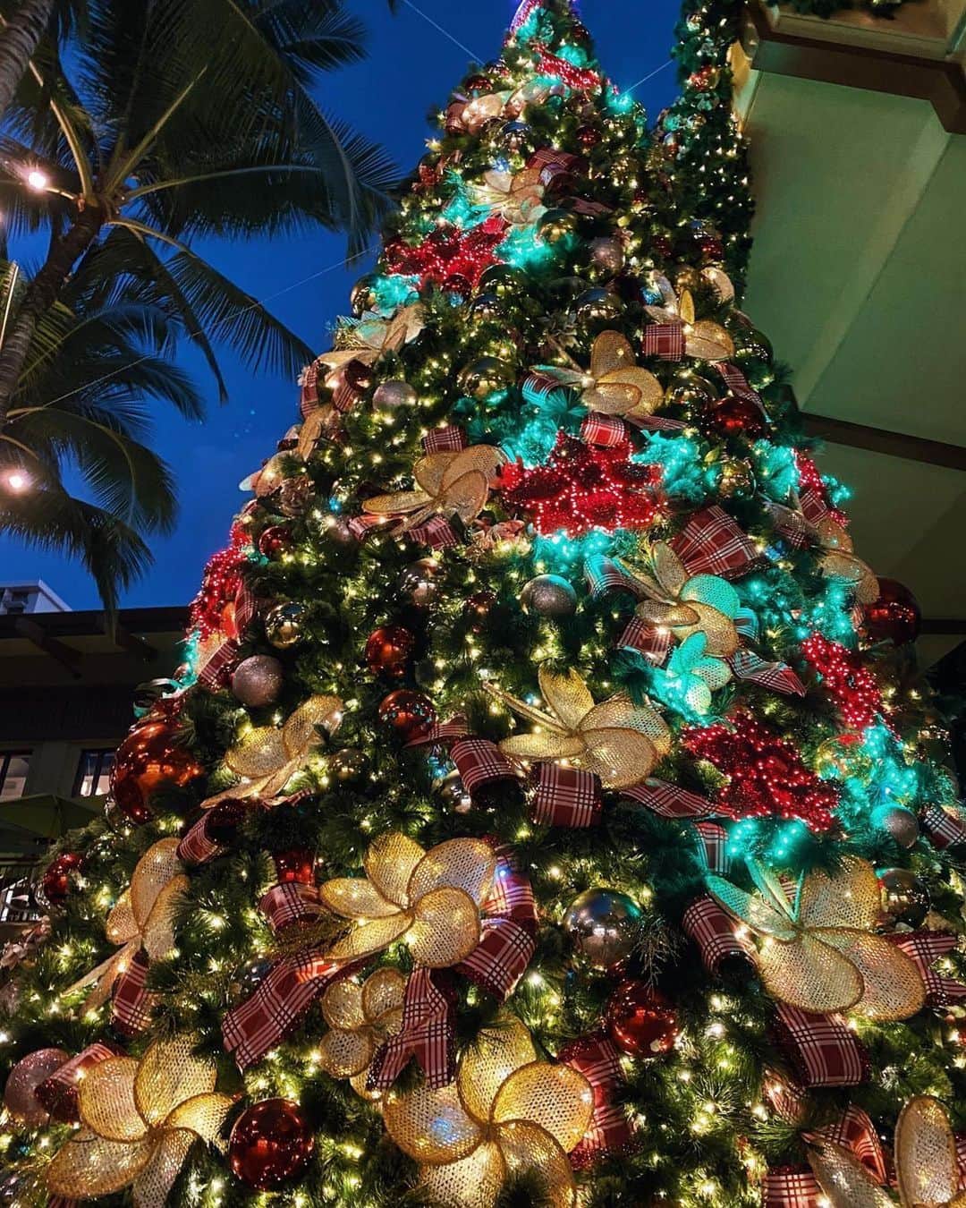 ロイヤル・ハワイアン・センターさんのインスタグラム写真 - (ロイヤル・ハワイアン・センターInstagram)「今年はイルミネーションを楽しめるところが少ないけれど、ロイヤルハワイセンターのツリーは毎年同様に点灯しています。何かお買い上げ頂くと、パーキンは3時間無料。是非いらして下さい。  #Repost @theressomethinaboutmari ・・・ It’s officially that time of the year!🎄✨ #hellodecember  • • • • • •  #ootd #igoutfit #oufitdiary #bikinilife #fashiondiary #fashiongram #vsco #Ootdgals #fashiontrends #styleinspo #styleblogger #beachstyle #Beachpeople #doseofstyle #instafashion #goodvibesonly #streetstyledaily #aboutalook #stylegram #christmas2020 #streetstyleinspo #prettylittleinspo #hawaiiblogger #honolululife #oahuliving #ハワイ生活 #christmastree #christmasinhawaii」12月2日 5時37分 - royalhwnctrjp