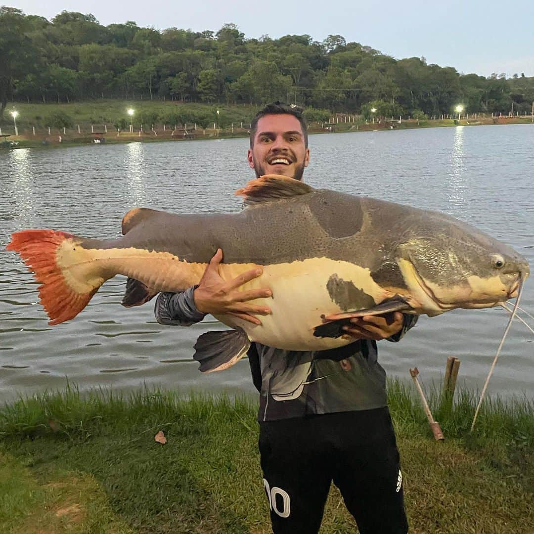 のインスタグラム：「Cinquentoooou 50UP🔥.  Pira monstra que peguei no @kikiturismo 🎣」