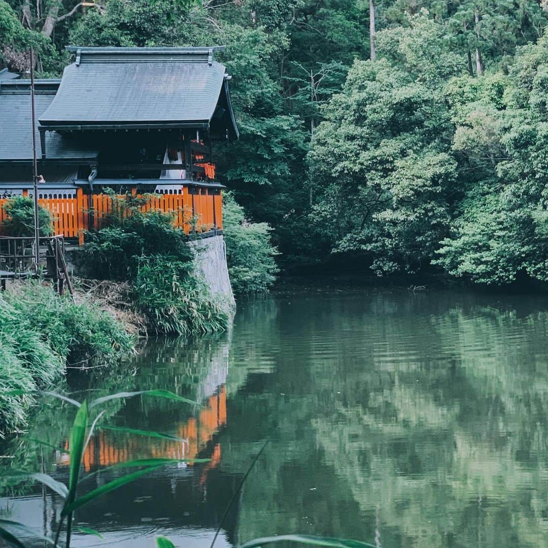 Daniel Waldronのインスタグラム：「Serenity」