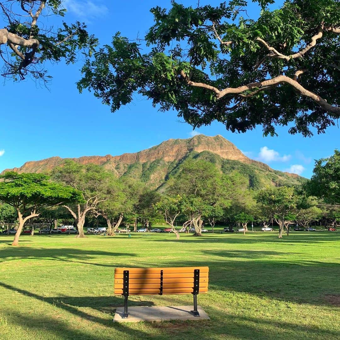 Belle Vie Hawaiiさんのインスタグラム写真 - (Belle Vie HawaiiInstagram)「ハワイも今日から12月😃﻿ 暑い暑いと思っていましたが、﻿ 朝晩はすっかり涼しくなり、﻿ ダイヤモンドヘッドも緑に覆われて﻿ 冬の装いになっています🌳﻿ ﻿ 何かとバタバタしがちな師走ですが、﻿ たまには自然の中でゆっくり座って﻿ パワーチャージしたいですね✨﻿ ﻿ ﻿ ﻿ #belleviehawaii﻿ #waikiki #hawaii﻿ #honolulu #hawaiilife﻿ #aloha #diamondhead﻿ #kapiolanipark﻿ #ハワイ #ベルヴィー﻿ #ハワイ好き #オアフ島﻿ #ハワイ大好き #ハワイ生活﻿ #ハワイ行きたい #ハワイ在住﻿ #アロハ #ダイヤモンドヘッド﻿ #ワイキキ #カピオラニ公園﻿ #頑張れハワイ #ハワイ情報﻿ #ホノルル #ハワイインスタ﻿ #妄想ハワイ #ハワイライフ﻿ #ハワイ好きな人と繋がりたい」12月2日 6時57分 - belleviehawaii