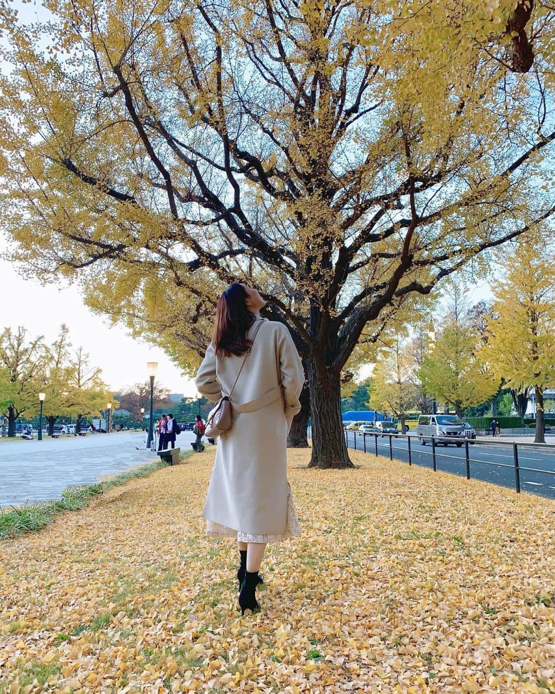 宮田綾子さんのインスタグラム写真 - (宮田綾子Instagram)「⁑ 黄色のじゅうたん💛  ストーリーズも見て👀  #coat #ofuon @ofuon_itokin  10%offクーポン ayako11 #bag #gucci #boots #ibeul @imme_official_   #宮田綾子 #いちょう並木 #いちょう #イチョウ #イチョウ並木 #銀杏並木 #銀杏 #imME #銀杏の絨毯 #イチョウの絨毯 #落ち葉 #はなまっぷ #花好きな人と繋がりたい #映えスポット #紅葉 #東京 #東京駅 #東京観光 #東京カメラ部 #カメラ部 #絶景 #日本の絶景 #けしからん風景 #ダレカニミセタイケシキ」12月2日 7時14分 - ayako__miyata