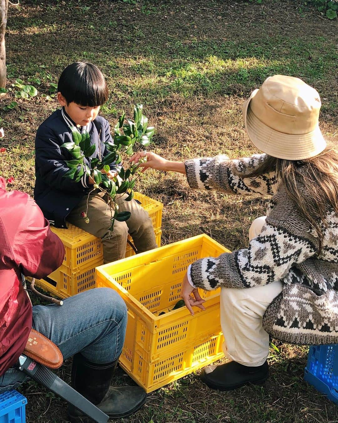 Rika Vanessaさんのインスタグラム写真 - (Rika VanessaInstagram)「長崎の五島列島、 福江島に来ています！ ・ 3回目の五島✊🏾💕 やっぱりご縁があるなあ〜と 驚かずにはいられない。 ・ 今回なぜ来たかと言うと 日頃から愛用してる基礎化粧品ブランド「ON&DO」 @onanddo_official  の故郷だからです👏🏼👏🏼 ・ 見学&体験させていただいた つばき農園はON&DOの自社農園🌿🌿 インスタライブでも 話させていただきましたが、 椿がこんなにワイルドに逞しく豪快に 生きている姿をみて 驚きました。 ・ 葉の収穫や、植樹も、 ここから自分の普段使ってる あの化粧品になるんだ💭 と思うととても面白かったし、 管理されてる方のお話を 直に聞けてすっごく 嬉しかったです。 ・ ・ みんなの沢山の想いが 込められてるON&DOの化粧品達。 ・ また改めて見方が変わりました。 ・ ・ TEAM ON&DOとして 頑張ります✊🏾」12月2日 7時22分 - rikavanessa._