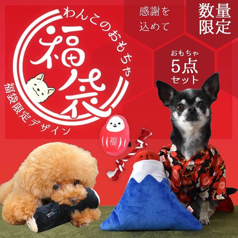 iDog&iCatさんのインスタグラム写真 - (iDog&iCatInstagram)「「わんこのおもちゃ 福袋」販売開始★  2021年がより良い年になりますよう、お家で過ごす愛犬のためにIDOG&ICAT企画した犬用おもちゃ2021年福袋です。 IDOGの社犬達をイメージしたオリジナルデザインのおもちゃが５点セット。オリジナルシールの化粧箱入り。  モデルさんから動画もいただきました♪  https://item.rakuten.co.jp/idog/14499/  #iDog #iDogiCat #iCat #新作 #プチプラ #犬おもちゃ #犬 #福袋 #AW新作」12月2日 13時00分 - idogicat