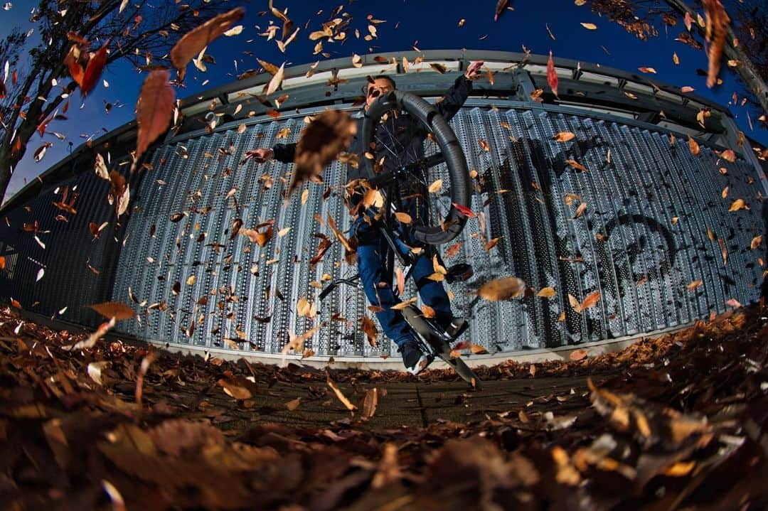 宇野陽介さんのインスタグラム写真 - (宇野陽介Instagram)「木の葉隠れ🍂 photo by @satoshi.saijo  #aresbikes #bmx #freestylebmx  #flatland #photography #fall #ug #madbunny #66denim #dvsshoes #fusioninc」12月2日 7時31分 - yorkuno