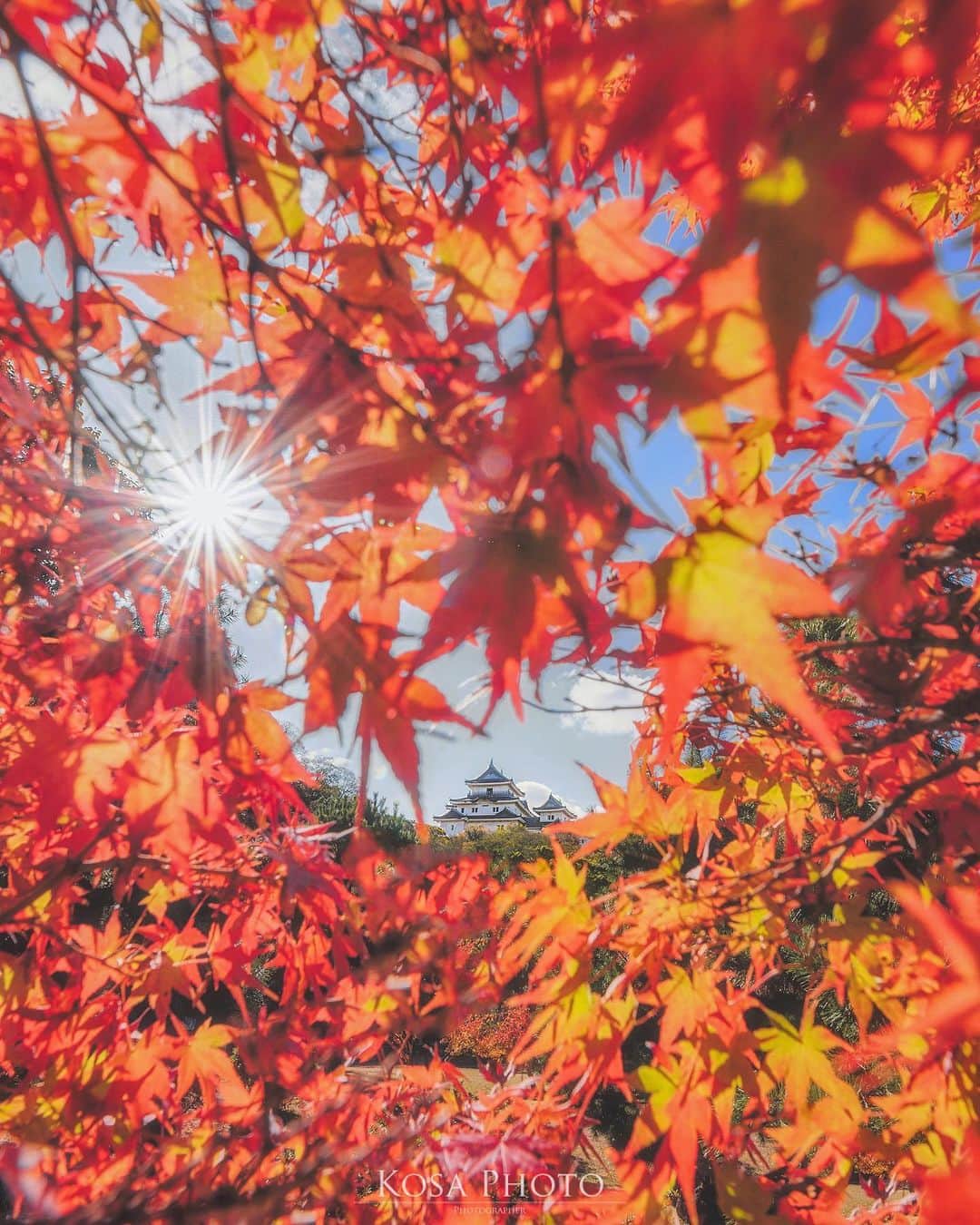 コサさんのインスタグラム写真 - (コサInstagram)「何十年も通ってる和歌山城でこの構図で撮れることに初めて気づく😅 というか、なぜ今まで気づかなかったのかな❓ もっと発見力を磨きたい！ . Location:和歌山 Wakayama / Japan🇯🇵 Date:2020年11月 . #和歌山城 #紅葉 #insta_wakayama #グッドトリップ和歌山 #visitwakayama #かつらぎーの #楽天トラベル映えフォト #jalan_kouyou2020 #ap_japan_wide #Japan_Daytime_View #art_of_japan_ #tokyocameraclub #dpj_member #team_jp_ #IG_PHOS #photo_jpn #ptk_japan #pt_life_ #bestjapanpics #Lovers_Nippon #YourShotPhotographer #light_nikon #sorakataphoto #LBJ_Legend #広がり同盟メンバー #nipponpic_member #special_spot_legend #s_shot #japan_of_insta #bestphoto_japan」12月2日 7時36分 - kosa_photo