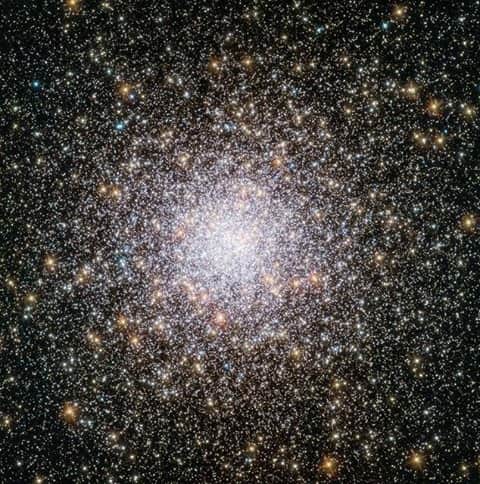 NASAさんのインスタグラム写真 - (NASAInstagram)「✨ Globular clusters are ornate spheres of stars that speckle the Milky Way.⁣⁣ ⁣⁣ This one, imaged by the NASA and @EuropeanSpaceAgency’s Hubble Space Telescope, is a standout in its class because of its high amount of heavy metals. Most clusters are much older than the majority of stars in their host galaxy, but this one is “only” between 10 and 11 billion years old. Astronomers estimate the Milky Way to be just above 13 billion years old. For reference, our solar system is only about 4.5 billion years old.⁣⁣  ⁣⁣ Credit: ESA/@NASAHubble⁣⁣ ⁣⁣ #Stars #Space #Astronomy #WeAreYoung #MilkyWay」12月2日 8時24分 - nasa