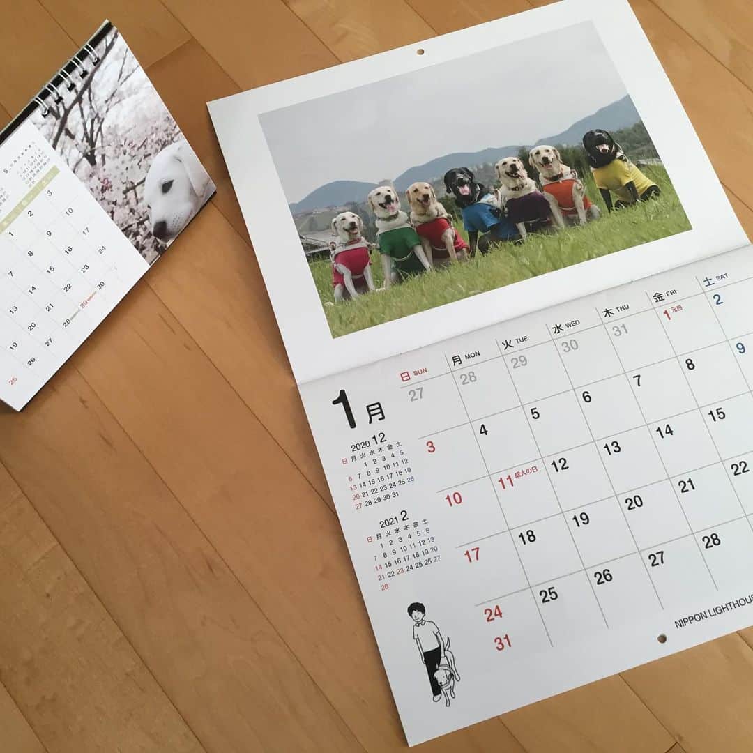 のインスタグラム：「12月になった。 2021年はどんな年になるんだろう。 愛犬散歩の途中、朝日を眺めながら考えた。  誰の心にも重くのしかかり続ける疫病新型コロナ。 2021年にはその影に怯える事なく自由に動き回れる日が来る事を祈る。  目の不自由な人に寄り添う盲導犬。 この子たちを育てるにも大変なお金がかかる。  その運営費用の1部でも捻出する為に日本ライトハウス盲導犬訓練所が今年も2021年版チャリティカレンダーを1部1000円で発売している。  今まではイラスト仕様だったカレンダー、今年は実写で構成されている。 レンズを見つめる彼らの目に邪気は無く、心から癒される仕上がりになっている。  詳しくは「盲導犬チャリティカレンダー」で検索を！  どうですか、あなたも1部。 乾いた心を少しばかり潤すために・・・  #日本ライトハウス #盲導犬チャリティカレンダー #ヒロ寺平 #ヒロT」