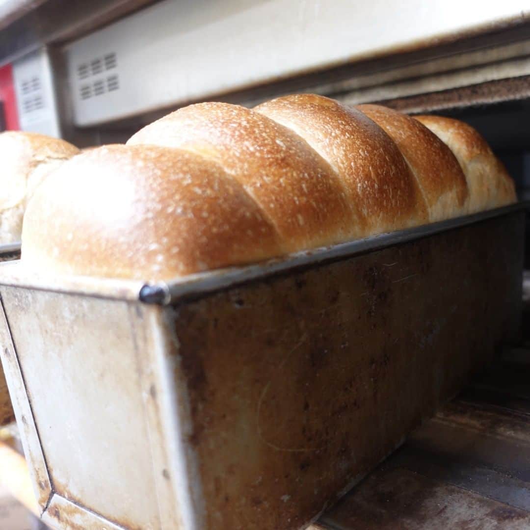 のインスタグラム：「窯のび良好すぎて、天井に届きそうでハラハラするくらい。北海道産小麦春疾風の山食、軽やかなトーストが焼きあがりそうです（そのままたべても美味しいです）。 ＃盛岡　＃盛岡パン　＃盛岡のパン屋さん　＃盛岡パン屋　＃イースト不使用　＃レーズン酵母のみで焼き上げる山食 　＃自家製天然酵母のパン屋さんカンパーニュ　＃魔女菅原」