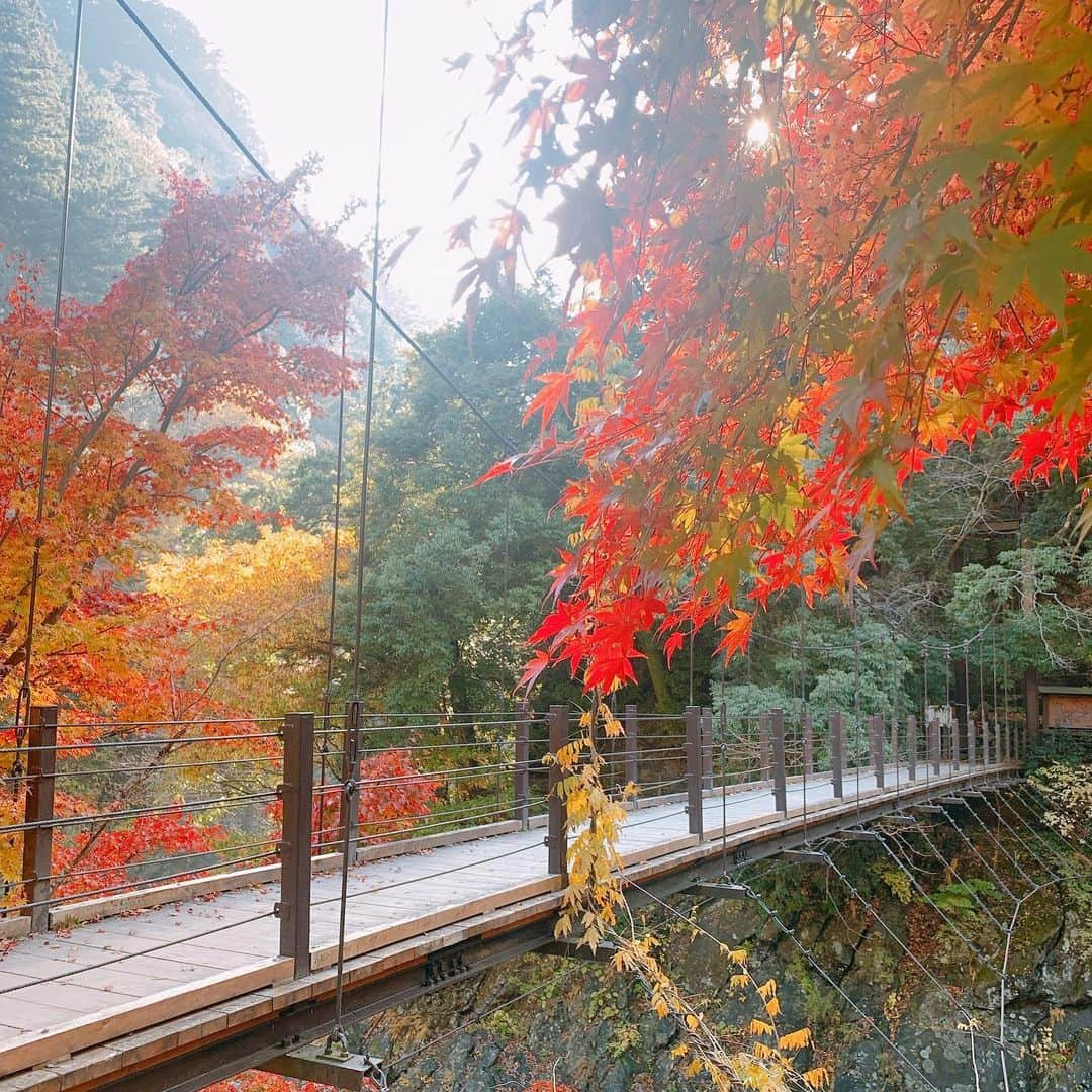 奥山レイカのインスタグラム：「橋。もう12月。 #奥多摩 #氷川渓谷 #紅葉狩り #橋」