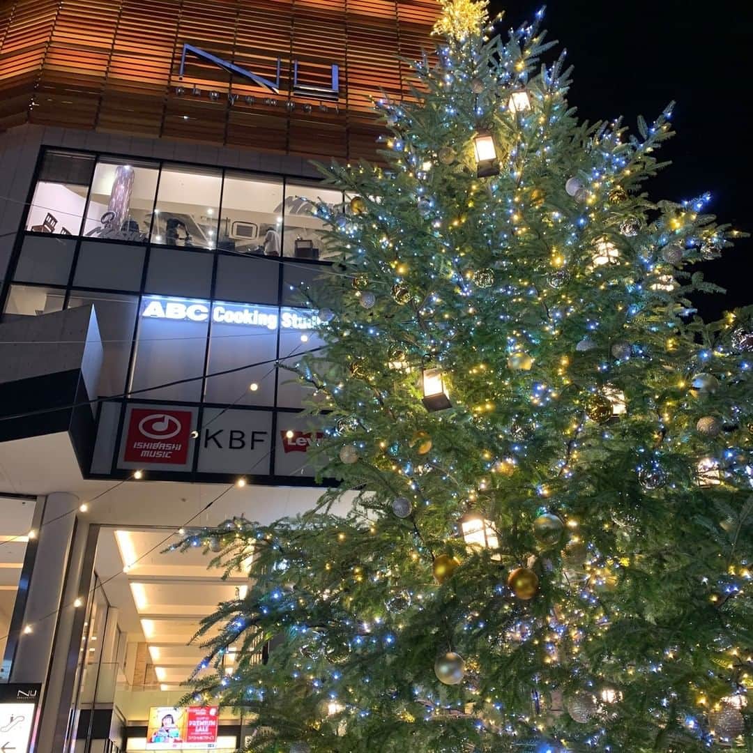 nuchayamachi_officialさんのインスタグラム写真 - (nuchayamachi_officialInstagram)「今年のイルミネーションは、メインエントランスに高さ7ｍのモミの木を使用したツリーが登場いたします。  ゴールドを基調とした光の演出でお客様をお迎えします😋✨  クリスマスムード溢れるNU茶屋町にぜひお越しください！  #nu茶屋町 #nuchayamachi #ヌー茶屋町 #nu茶屋町プラス #ヌー茶屋町プラス #大阪梅田 #梅田 #茶屋町 #クリスマス #大阪イルミネーション #クリスマスイルミネーション」12月2日 11時00分 - nuchayamachi_official