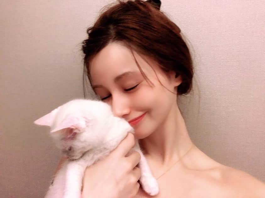 ダレノガレ明美さんのインスタグラム写真 - (ダレノガレ明美Instagram)「最近、元気すぎて写真撮れなくなってきました🤣 かわい❤️ #保護猫 #愛娘」12月2日 11時02分 - darenogare.akemi
