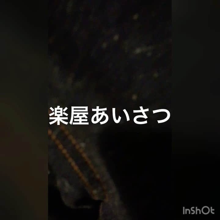 のインスタグラム：「#楽屋あいさつ #新作のハーモニカ　たんぼ #元気に #おはようございます」