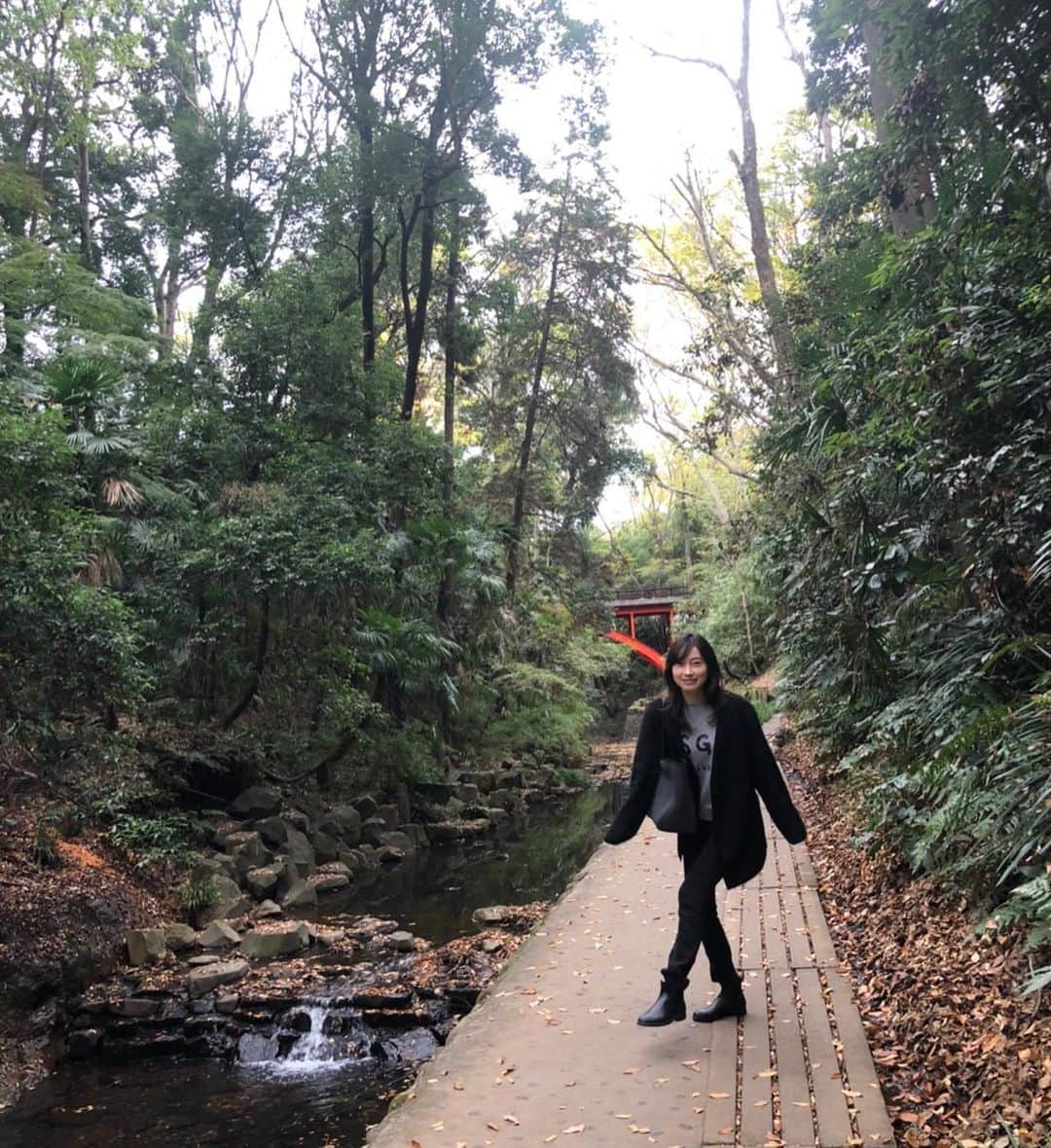 小橋めぐみのインスタグラム：「紅葉を見に、渓谷へ。 空気がキュンと冷たかったけれど、 綺麗だったなぁ。 赤い星みたいだった。」