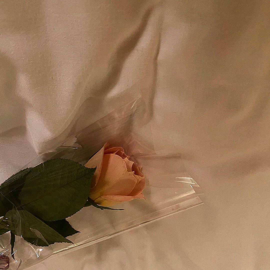 新田湖子さんのインスタグラム写真 - (新田湖子Instagram)「. キャラメルアンティーク というお花 ✿ なんて可愛いの.. 香りが素晴らしいの💍」12月2日 21時02分 - coconitta0809