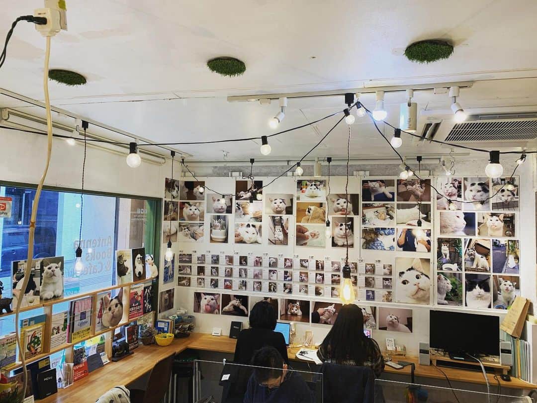 Kachimo Yoshimatsuのグルメインスタ