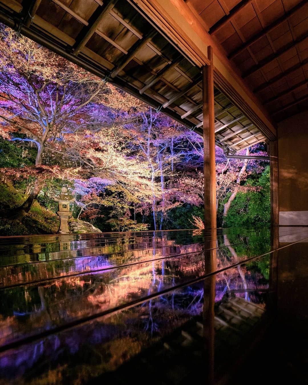 masayaさんのインスタグラム写真 - (masayaInstagram)「瑠璃光院  夜間特別拝観 Rurikoin Kyoto これも一階 毎年見頃前半に訪れていた京都。今年は見頃終盤に、、どちらも素敵です🍁」12月2日 21時10分 - moonlightice
