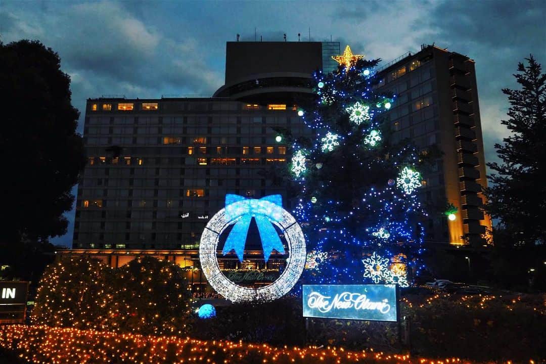 ホテル ニューオータニさんのインスタグラム写真 - (ホテル ニューオータニInstagram)「ホテルの正面玄関を彩るクリスマスツリー🎄 今年は、医療従事者への敬意と感謝を表した青色のライトアップも行っております。 ﻿ This year, we are lighting up our Christmas tree in colors including blue to show appreciation to health care workers on the front lines.﻿ #makeitblue #hotelsfortheholidays #forbestravelguide」12月2日 21時14分 - hotelnewotanitokyo