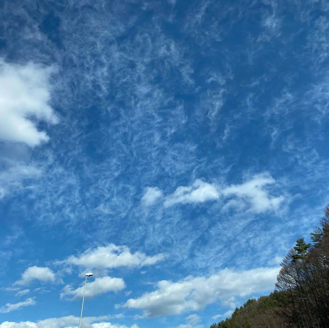 タテタカコさんのインスタグラム写真 - (タテタカコInstagram)「本日おじゃまいたします🙇‍♂️ 🦉12/2(水) 🌳🐾🧧﻿ 下北沢440﻿ ﻿ 有観客＋有料配信﻿ ﻿ 『ようことせい子が行く師走に妖怪440〜タテタカコ現る！』﻿ ﻿ 出演：﻿ うつみようこ﻿ 伊藤せい子﻿ タテタカコ﻿ ﻿ 　﻿ ( http://440.tokyo/events/20201202/ )﻿ ﻿ 開場 19:00 ﻿ 開演 19:30﻿ 入場チケット：¥3,000（1D別）﻿ 当日¥500up ﻿ ﻿ ※TIGET予約のみ（店頭販売なし）﻿ ※受付 11/8 19:00〜 URL：( https://tiget.net/events/110908 ) 整理番号順﻿ ﻿ 配信開始：19:30〜﻿ 配信チケット：¥1,500＋ドネーション﻿ ﻿ ZAIKO：( https://440-fourforty.zaiko.io/_item/332855 )﻿ ﻿ Twitter連携チャット：( #440_うつみようこ_タテタカコ_伊藤せい子 )※生配信中のみ﻿ ﻿ 販売期間　11/8 19:00〜 12/5 20:59﻿ 配信期間　12/2 19:30〜 12/5 23:59」12月2日 13時03分 - tatetakako
