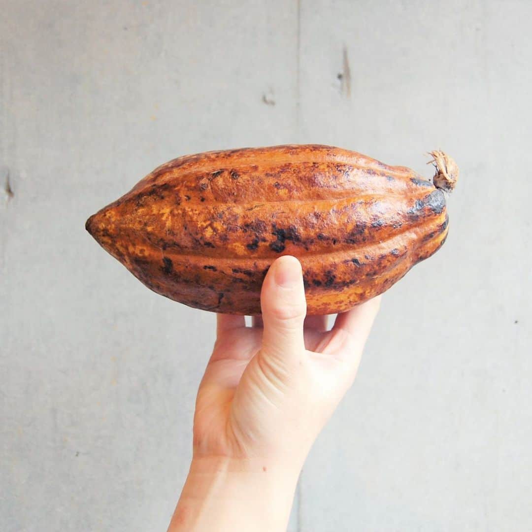 CRAFT CHOCOLATE WORKSのグルメインスタ