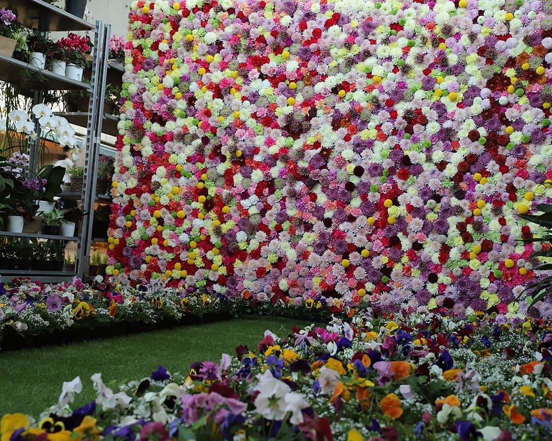 愛知県田原市のグルメインスタ