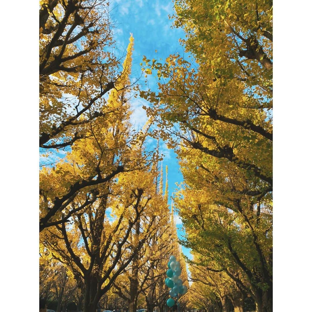 納富有沙のインスタグラム：「. Beautiful Autumn Colors😌🍂🍁 . . . 銀杏並木をお散歩した日👌 ところでみなさん明日は何の日ー？？😉💕笑 . . . #autumn #autumnleaves #autumnvibes🍁 #autumncolors #leaves🍁 #gingko #gingkotree  #japan #usa #actress  #秋 #銀杏並木 #銀杏 #いちょう並木 #いちょう #お散歩」