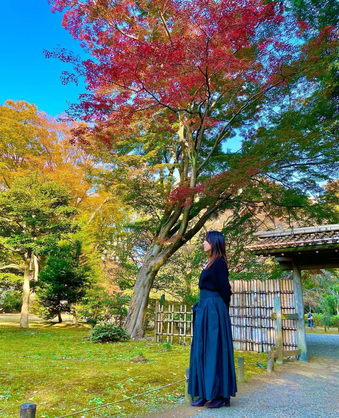 片山陽加さんのインスタグラム写真 - (片山陽加Instagram)「ちょっと前に観に行った紅葉🍁 大人になるにつれて自然が好きになる♡   #紅葉 #六義園」12月2日 14時20分 - haachandyoo