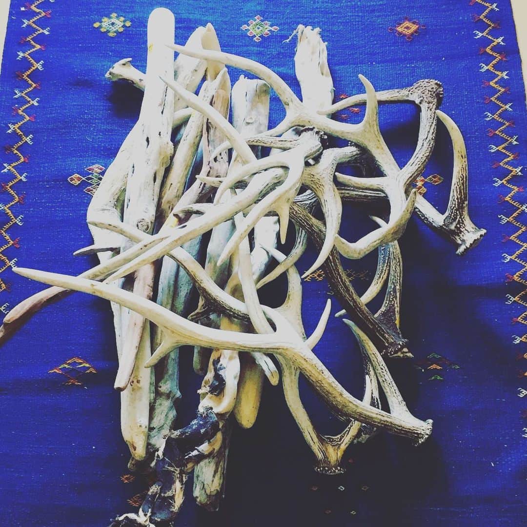 ハミルのグルメインスタ