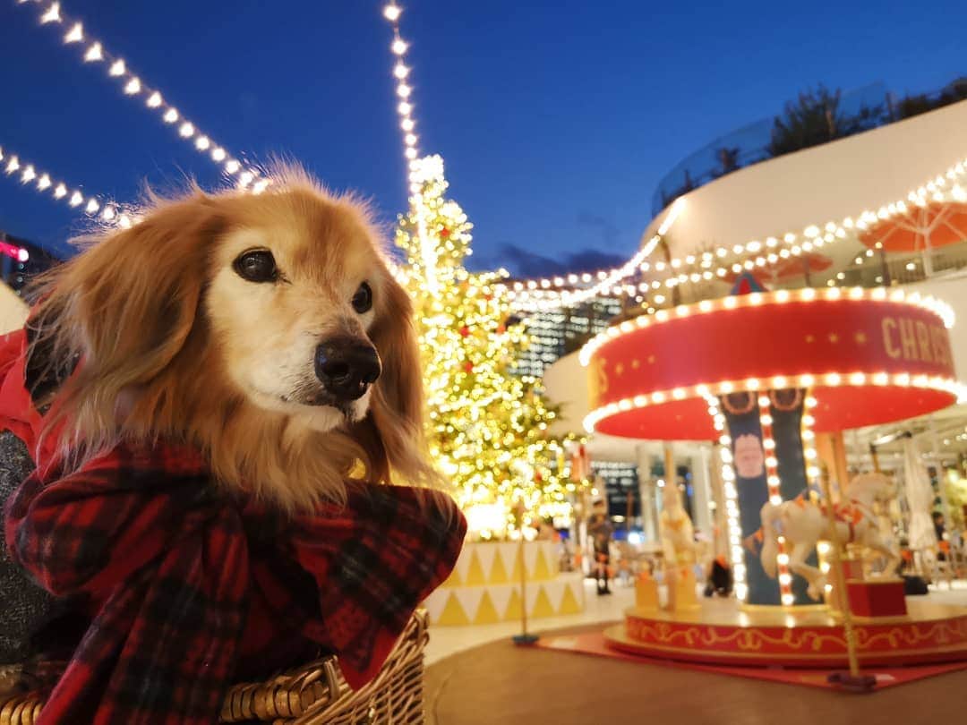 ?モデル?大地?のグルメインスタ