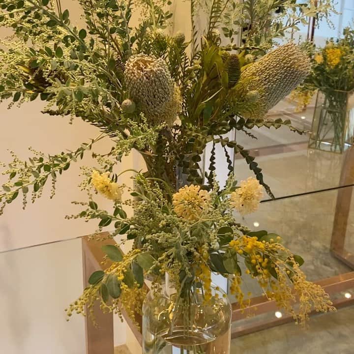 畑野ひろ子のインスタグラム：「@third_magazine 展示会装花をさせて頂きました。  春夏展示会という事で、実付きのアカシアを。  #flowers #decoration #willgarden」